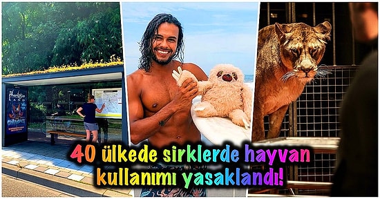 Biraz da Yüzümüz Gülsün! 2019'un Bütün Dünya İçin Çok da Kötü Bir Yıl Olmadığını Gösteren 16 Gelişme