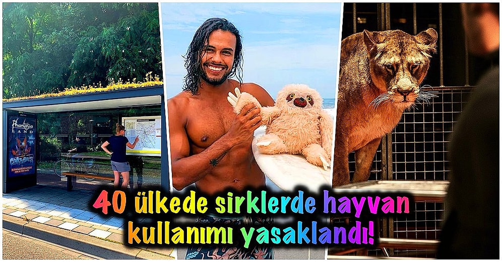 Biraz da Yüzümüz Gülsün! 2019'un Bütün Dünya İçin Çok da Kötü Bir Yıl Olmadığını Gösteren 16 Gelişme