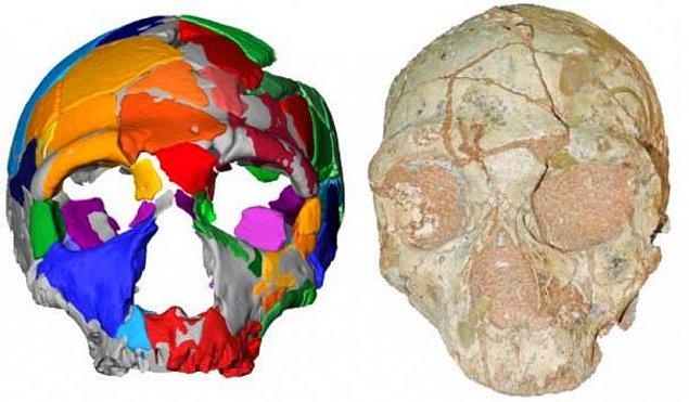 3. Yunanistan, Afrika dışındaki en eski Homo sapiens kalıntısı