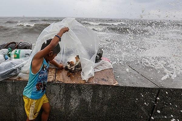 3. Filipinli bir çocuk, tayfun esnasında bulduğu muşamba ile kediyi koruyor.