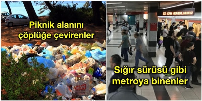 Medeniyetsizliklerini Gözümüze Soka Soka Çileden Çıkmamıza Sebep Olan Düşüncesiz Davarlardan Detaylar