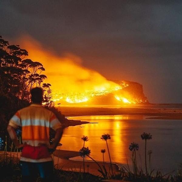17. 2.2 milyon hektarlık bir alan yandı, binlerce ev yıkıldı, sayısız hayvan hayatını kaybetti.