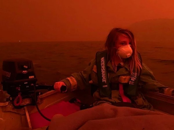 В ходе пожаров было уничтожено более 6 миллионов гектаров леса, еще полмиллиарда животных погибли.