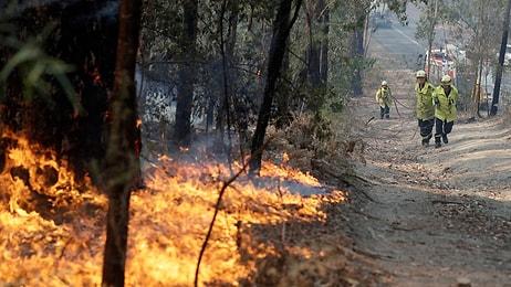 Dört Aydır Söndürülemeyen Avustralya Yangınları Neden Kaynaklanıyor?