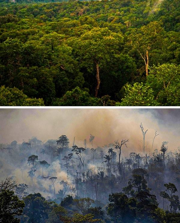 12. Dünya çapında ormanlar yanıp kül oluyor. Bu görsel ise orman yangınlarının Amazon Ormanları üzerindeki etkisi.