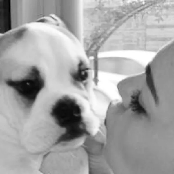 8. Пелин Карахан