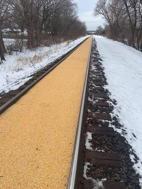 38. Minnesota'da 3400 dolar değerinde mısır döken bir trenin arkasında bıraktığı iz.