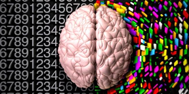 Bu 10 Soruluk IQ Testinde Başarılı Olabilmek İçin Beyninizin İki Lobunu Kullanmanız Gerekecek!