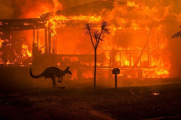 Bu haftanın gündemine tahmin edersiniz ki, Avustralya'daki herkesin içini yakan yangınlar oturuyor...