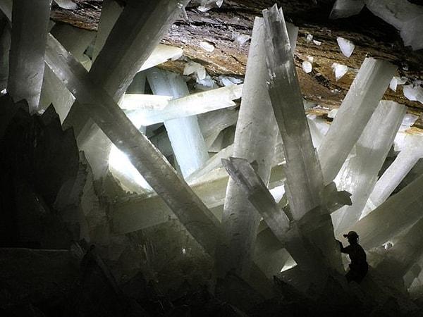 2. Meksika'daki bir mağarada, oldukça uzun boyutlarda olan beyaz kristaller bulunuyor. Bu büyüleyici mağara, onu ziyaret eden insan kaşiflerini resmen yanında cüce eden pırıl pırıl alçı kristalleri ile dolu.