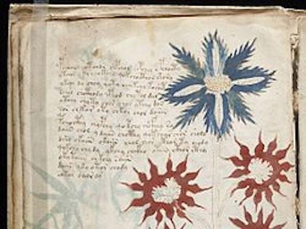 12. Dünyada hiçbir şekilde çevrilemeyen bir dilde yazılmış gizemli bir kitap bulunuyor. Voynich El Yazması, bilinmeyen bir dilde yazılmış ve yıllardır akademisyenleri ve şifre çözümleyicileri şaşırtan 240 sayfalık bir Orta Çağ cildidir.