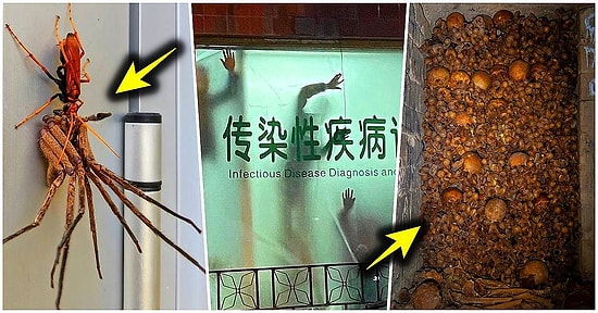 Bu İçeriğe Gece Bakmayın! Görünce Tüylerinizi Diken Diken Etmeye Yetecek 19 Ürkütücü Fotoğraf