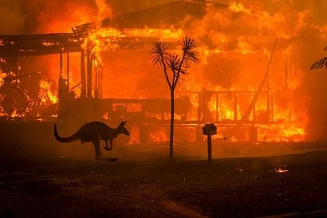 Avustralya Başbakanı'ndan Yangın Krizinde 'Hata Yaptık' İtirafı