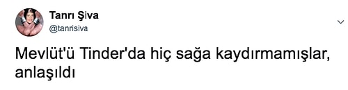 Kedi de mi Sevmeyelim? Bekarların Mutlu Hayatları Yüzünden Vergi Ödemeleri Gerektiğini Söyleyen Mevlüt Tezel Tepkilerin Odağında