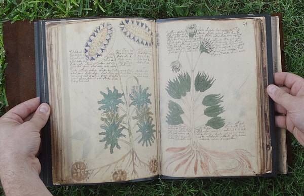 Тогда кто и зачем написал эту книгу?