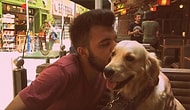 Eski Sevgililerin 'Köpek Kimde Kalacak?' Davası Sonuçlandı