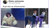 Yaptıkları Benzetmelerle Mizahı Farklı Boyutlara Çıkarıp Güldüren 15 Kişi