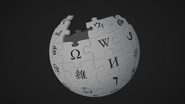 "Wikipedia’nın kapatılmasının demokratik toplum düzeninin gereklerine uymuyor"