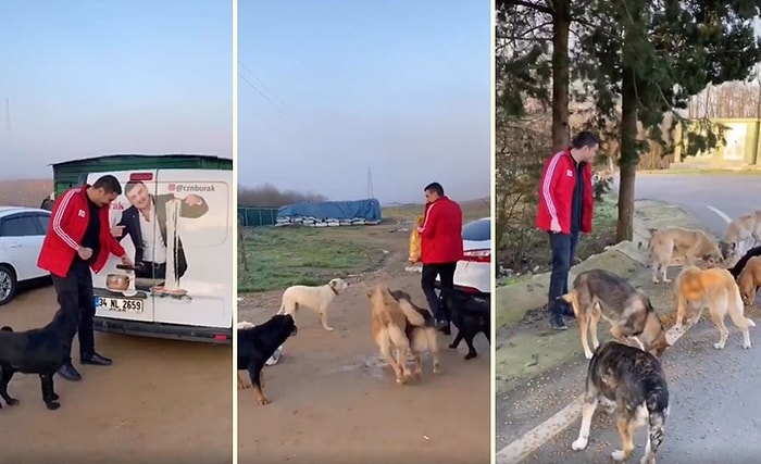 Harikasın CZN Burak! Şimdi de Sokak Hayvanları İçin Torba Torba Yem Dağıttı!