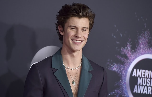 4. Shawn Mendes