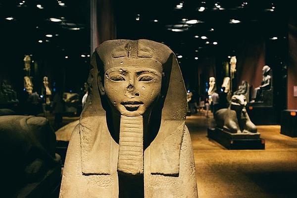 12. Tutankhamun'un DNA'sı sayesinde araştırmacılar geçmişteki beş jenerasyona kadar aile ağacını çıkarabildiler.