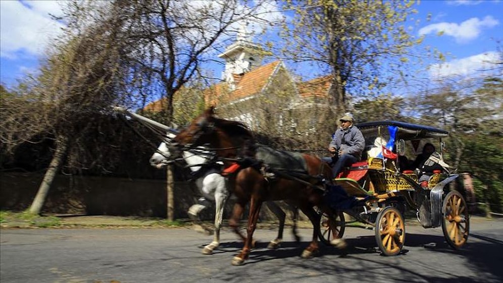 İBB, Adalar'daki Fayton ve Atları Satın Alıyor: 'Doğal Yaşam Alanlarına Bırakılacaklar'