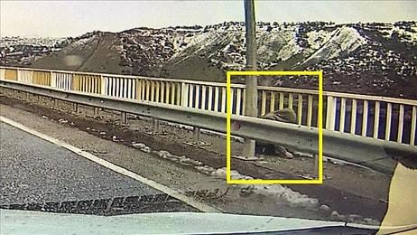 Arabanın Kamerasına Yansımıştı: Köprü Üzerindeki Kişinin Kayıp Gülistan Olduğu Belirlendi