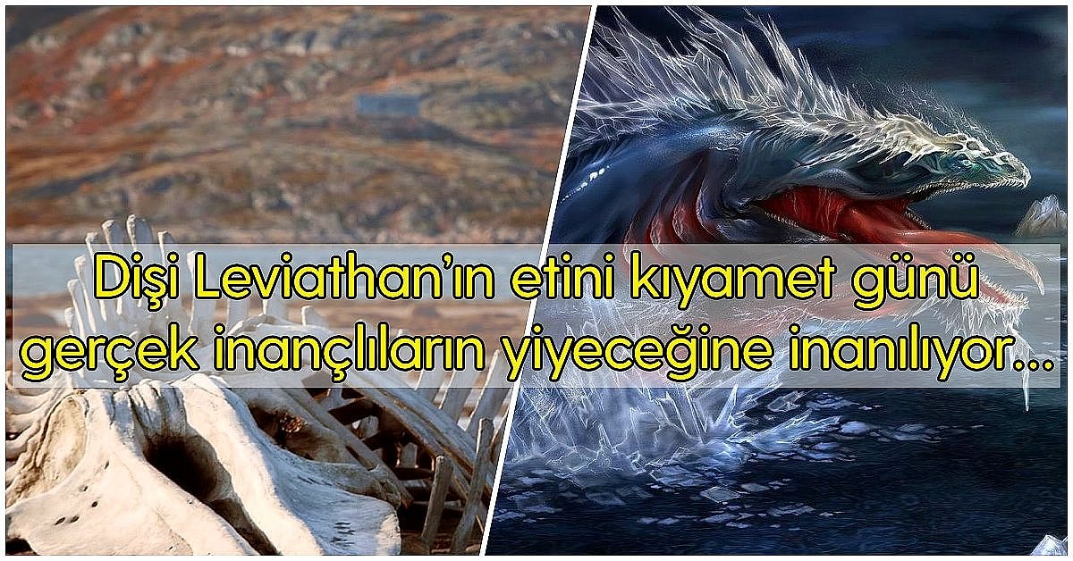 Efsanelere Kitaplara Ve Filmlere Konu Olmus Kutsal Kitaplarda Bile Adi Gecen Korkunc Yaratik Leviathan Onedio Com