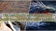 Efsanelere, Kitaplara ve Filmlere Konu Olmuş, Kutsal Kitaplarda Bile Adı Geçen Korkunç Yaratık: Leviathan