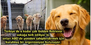 Acayip Bilgiler Kuşağı: Belki Kırk Yıl Düşünseniz Aklınıza Gelmeyecek 15 Şaşırtıcı Gerçek