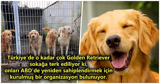 Acayip Bilgiler Kuşağı: Belki Kırk Yıl Düşünseniz Aklınıza Gelmeyecek 15 Şaşırtıcı Gerçek