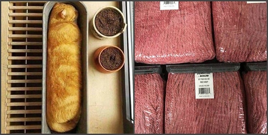 18 фотографий, при взгляде на которые можно подумать, что это еда (но это не она!)