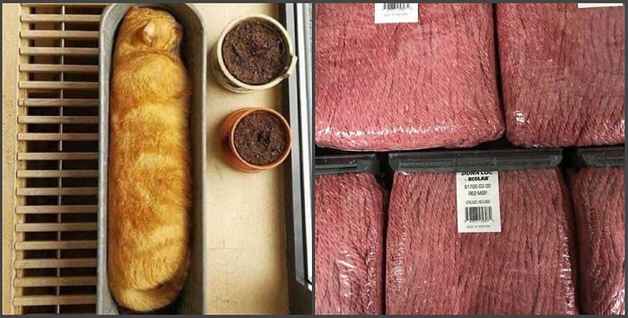 18 фотографий, при взгляде на которые можно подумать, что это еда (но это не она!)