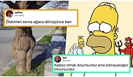 Denizaşırı Mizahta Bu Hafta: Son Günlerde Yabancıları Kahkahaya Boğmuş 15 Komik Tweet