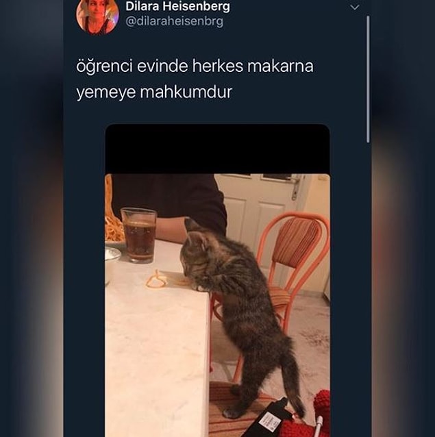 6. Masum...