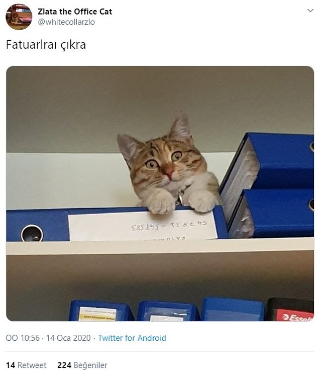 13. Çıkrama çıkrama.