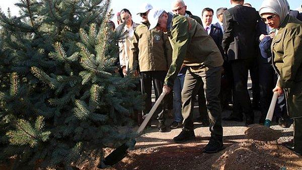 Ankara’daki dikim etkinliği de Cumhurbaşkanı Recep Tayyip Erdoğan ile Tarım ve Orman Bakanı Bekir Pakdemirli tarafından fidan dikilmişti.