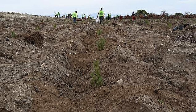 3. Tarım Orman-İş Sendikası, Tarım ve Orman Bakanlığı’nın 11 Kasım’da “Geleceğe Nefes” adı altında, “mevsim şartlarını gözardı ederek” diktiği 11 milyon fidanın yüzde 90’ının kuruduğunu belirlemişti.