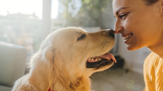7. "Eşimin sarılarak uyumaya bayıldığı Baby adını verdiğimiz dünyalar tatlısı bir köpeğimiz vardı. Bir gün eşimi köpeğimizin kocaman kahverengi gözlerine bakıp ‘Baby eğer benimle konuşmak istersen hiç sorun olmaz, gerçekten kimseye söylemem.’ dediğini duydum sonrasında ise yarım bıraktıkları uykularına geri döndüler."