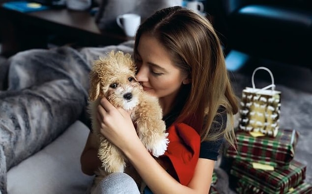 11. "Nişanlımı bir yavru köpek sahiplenmeye ikna etmek için ona bir pelüş köpek aldım. İşlerin pek beklediğim gibi gitmediğini ve telefonundaki onlarca fotoğrafına bakarak peluşla arasında özel bir bağ oluşturduğunu söyleyebilirim."