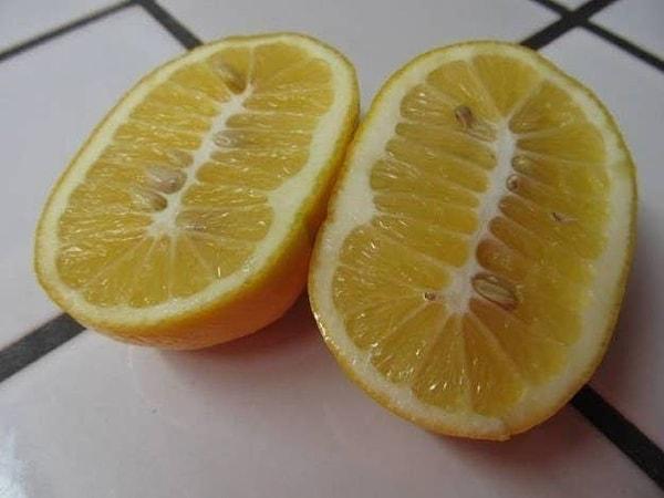5. Doğal olamayacak kadar büyük limon.