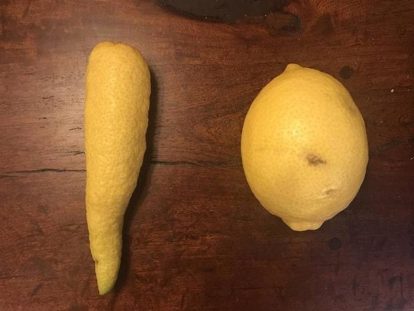 15. Sağdaki limon, soldaki ise limon olmaya çalışan bir şey.