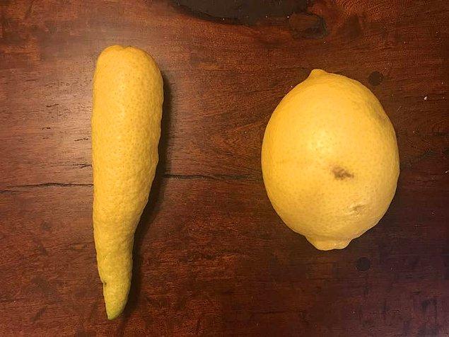 15. Sağdaki limon, soldaki ise limon olmaya çalışan bir şey.