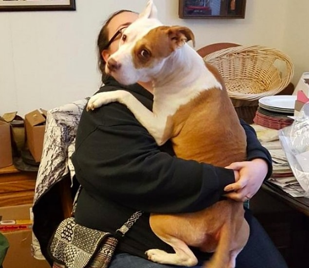 5. "Kız kardeşim birkaç hafta önce on yıllık erkek arkadaşını kaybetti. Bu fotoğraf da genelde çok korkunç olduğu düşünülen pitbull cinsi köpeğimin onu teselli ettiği sırada çekildi."