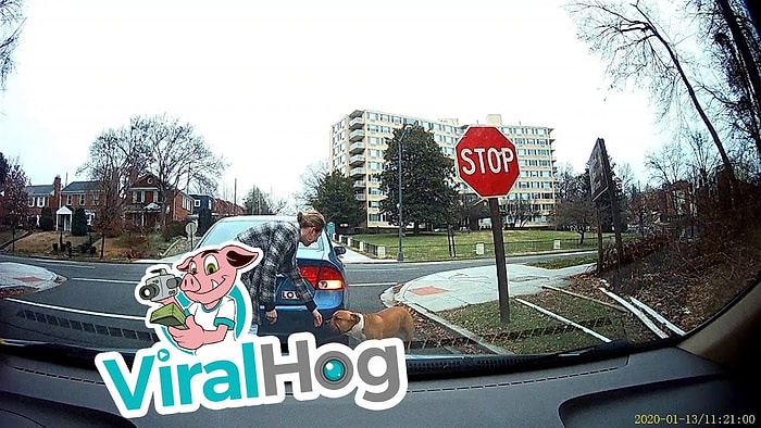 Elinde Tasma ile Köpeğini Arayan Adama Yardım Eden Güzel İnsanlar!