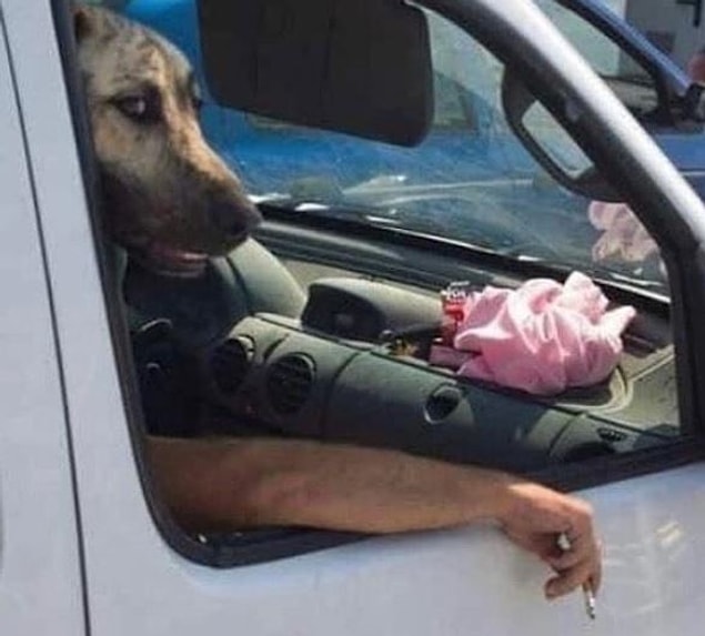 24. Ne bakıyorsun hemşerim?