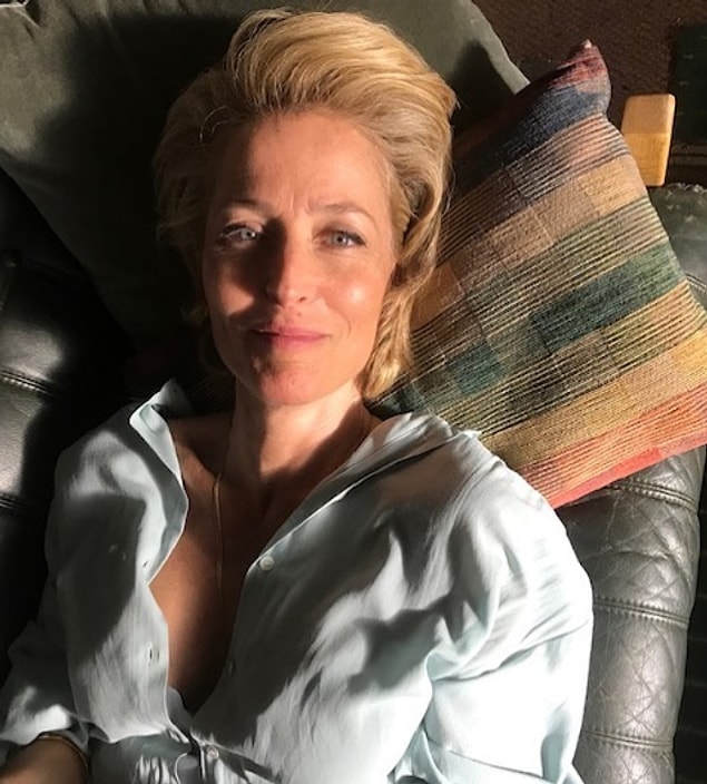 Pekii, Gillian Anderson kimdir biraz tanıyalım...