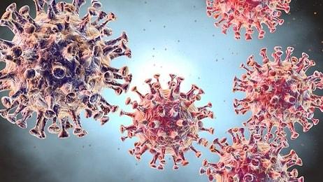 Salgın Büyüyor! Peki Koronavirüs Bir İnsanı İki Kere Etkiler mi?