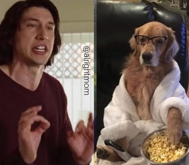 3. "Köpeğime neden koltukları yırtmaması gerektiğini anlatmaya çalışıyorumdur:"