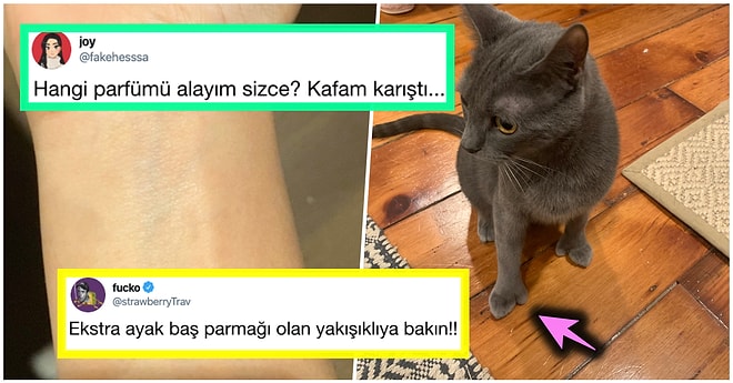 Denizaşırı Mizahta Bu Hafta: Son Günlerde Yabancıları Kahkahaya Boğmuş 19 Komik Tweet